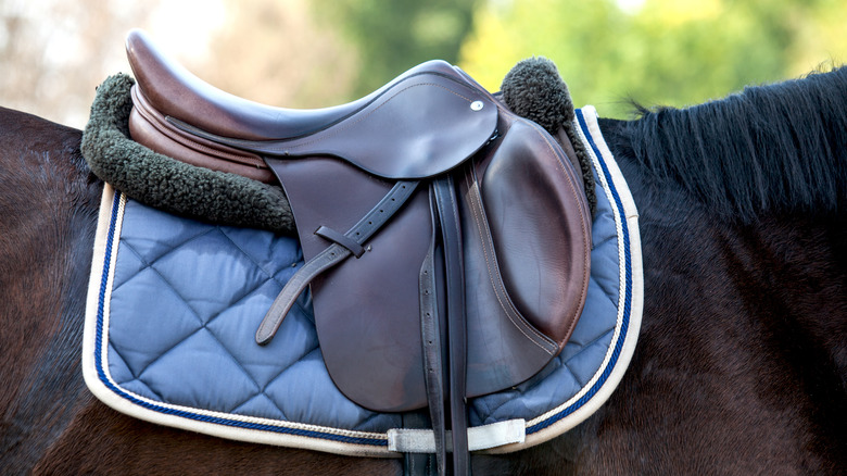 Horse saddle