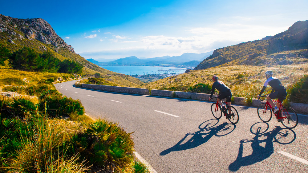 Cyclists riding along a highway
