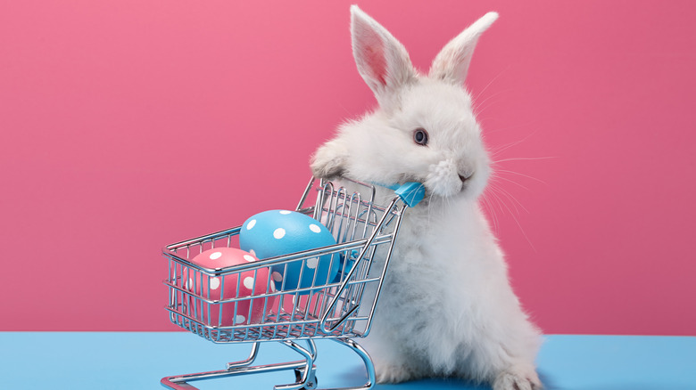 rabbit pushing basket with eggs