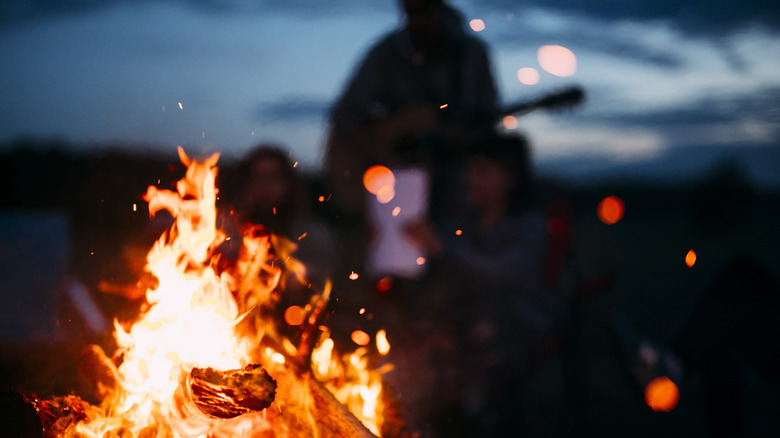 Campfire party