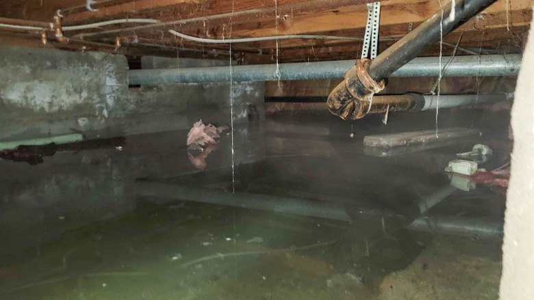 basement crawlspace