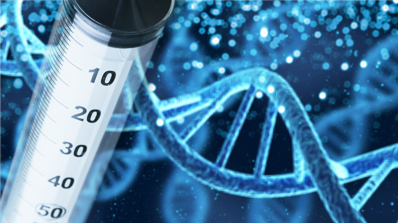 DNA testing 