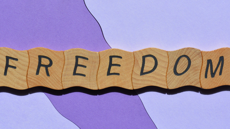 блоки букв, объясняющие слово свобода