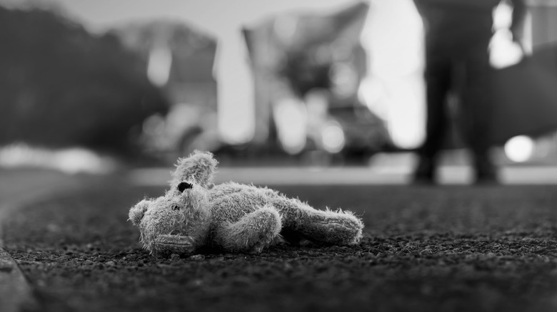 teddy bear left on roadway