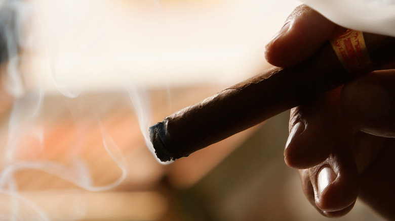 close-up of a smoldering cigar