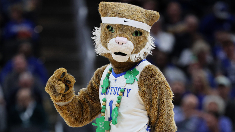 Wildcats mascot