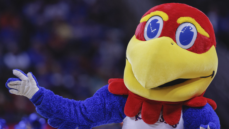 Kansas Jayhawks mascot