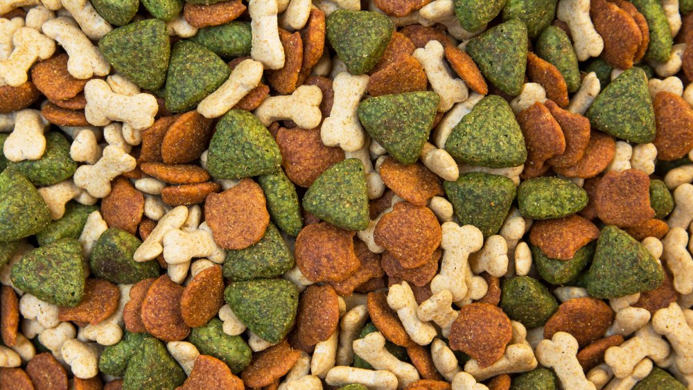 Who Actually Makes Kirkland Dog Food who-actually-makes-kirkland-dog-food