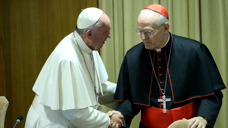 Pope Francis shaking hands with Peter Erdo