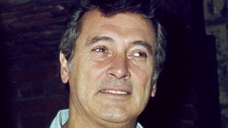 Rock Hudson smiling, 1976