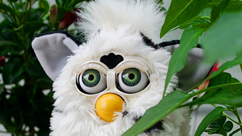 A classic Furby