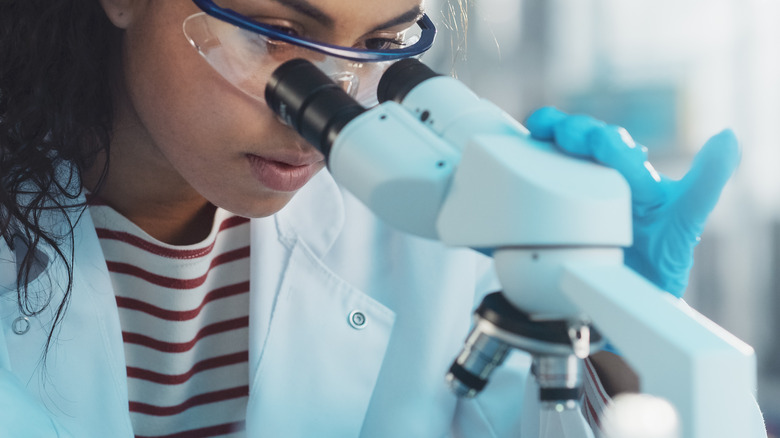 Scientist looks in microscope
