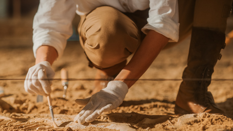 Archaeologist at work