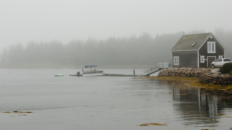 Foggy Oak Island