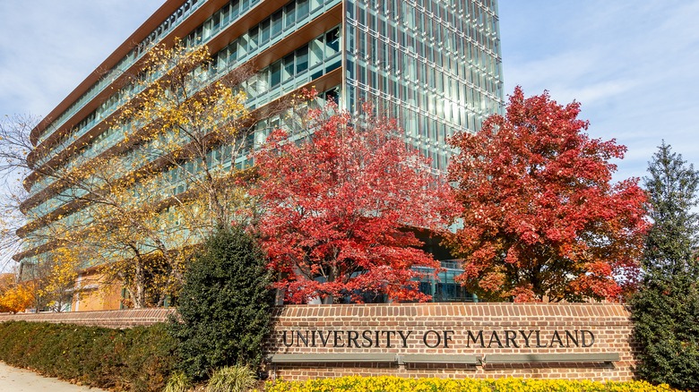 Sign for University of Maryland