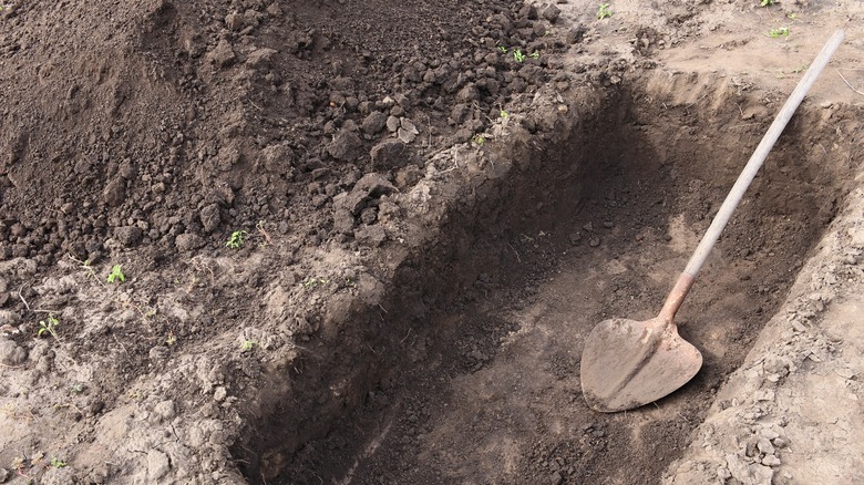 shovel hole in ground grave