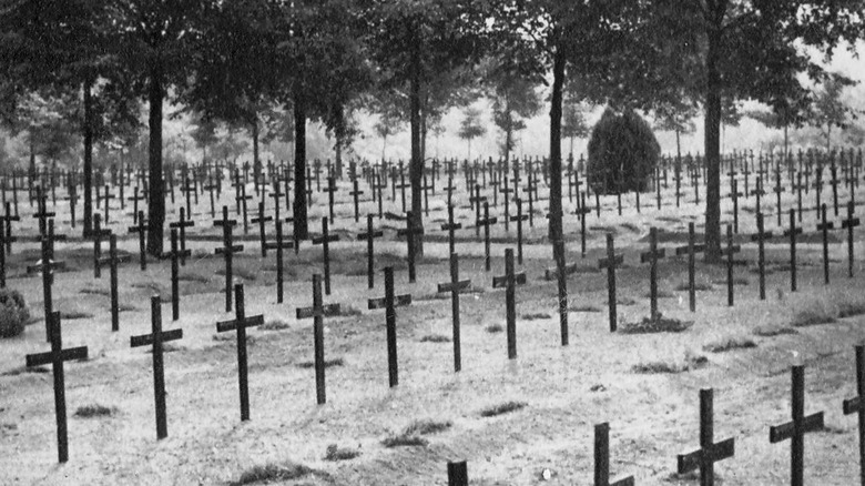 Polish military cemetery 