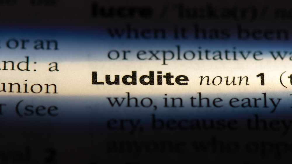 Luddite dictionary entry