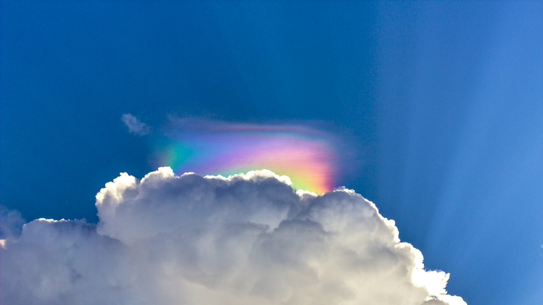 A circumhorizon arc