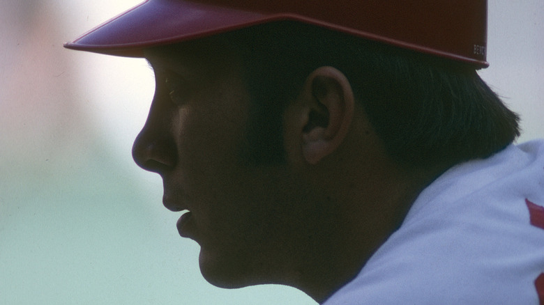 johnny bench