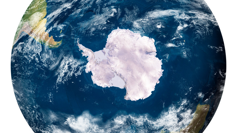 antarctica on a globe