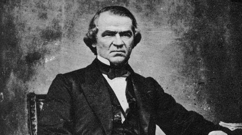 Andrew Johnson portrait