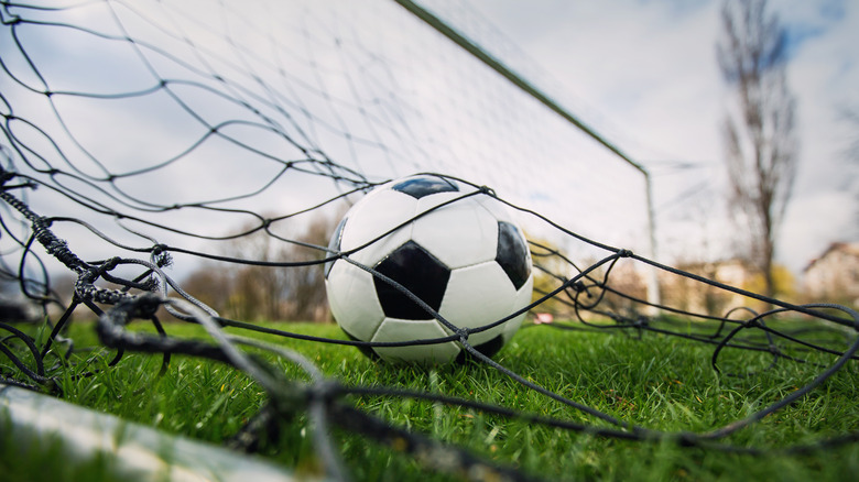 Soccer ball in net