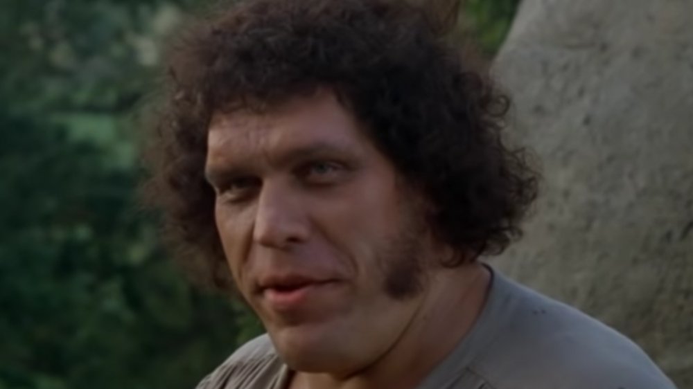 Andre the Giant