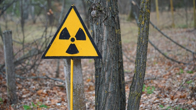 radioactive warning sign in the forest
