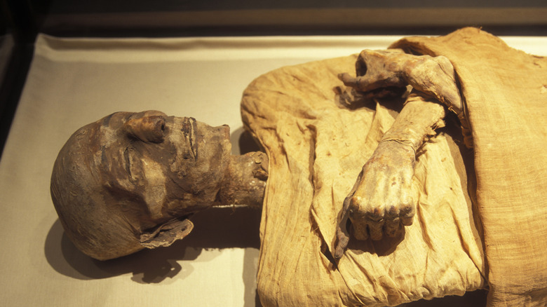Egyptian mummy with arms crossed