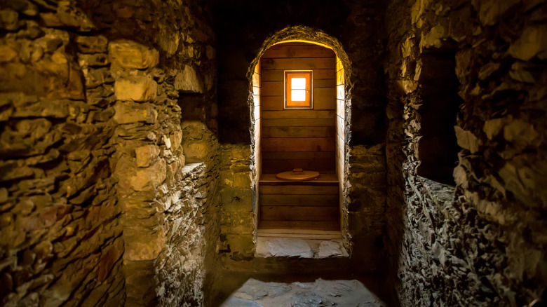 medieval toilet