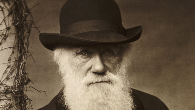 charles darwin at home