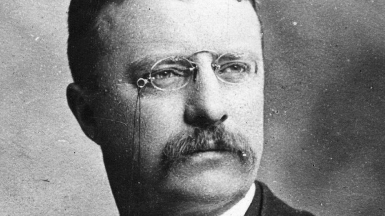 Teddy Roosevelt