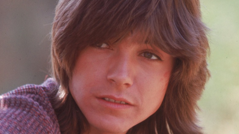 Young David Cassidy