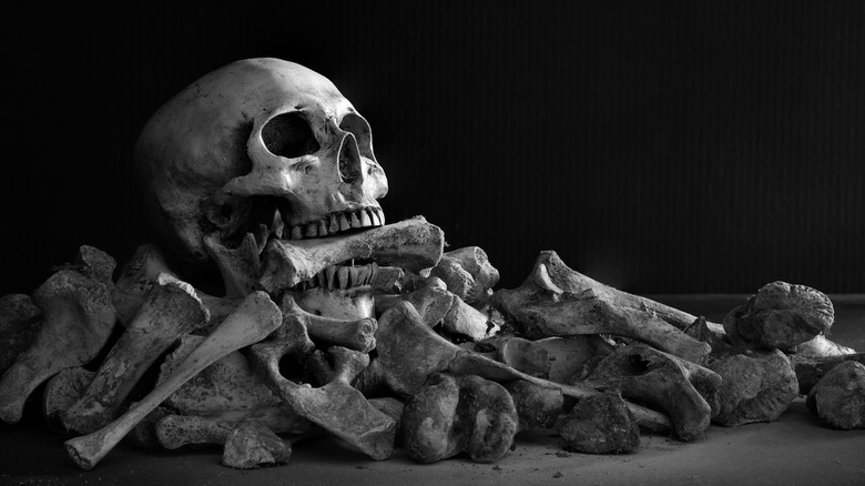 skull on bones
