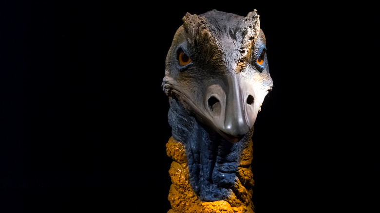 Why Did The Elephant Bird Go Extinct?