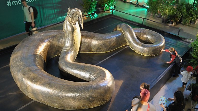 The Titanoboa