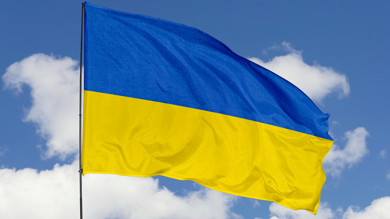 Ukraine flag 