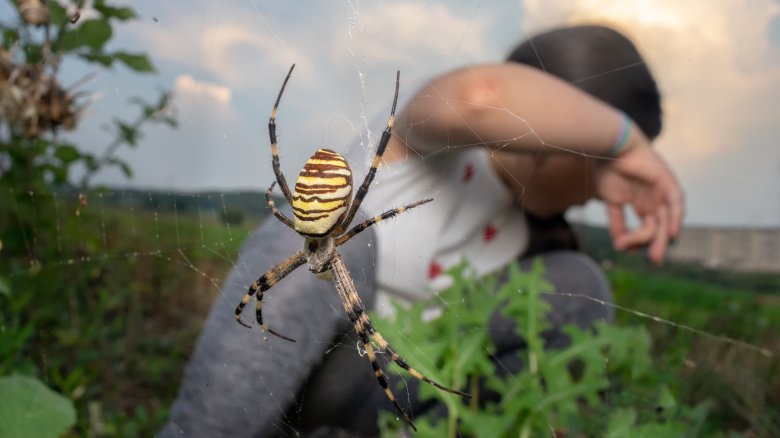 child, afraid, spider, web