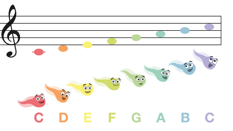 C major scale