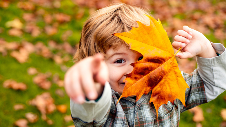 Child playing with autumn leaf