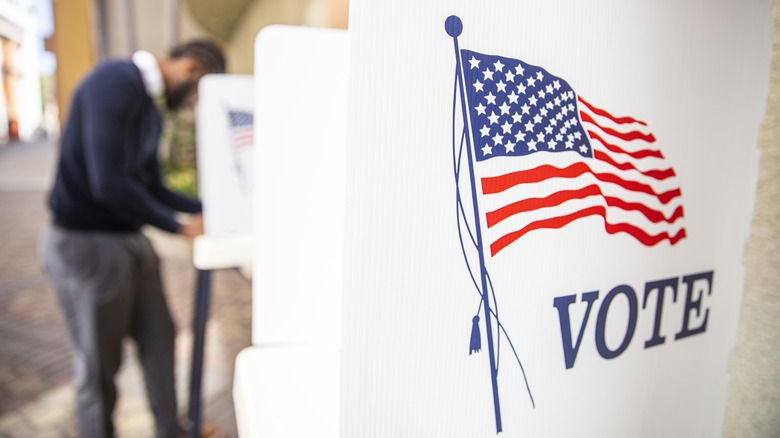 Voter at the ballot box