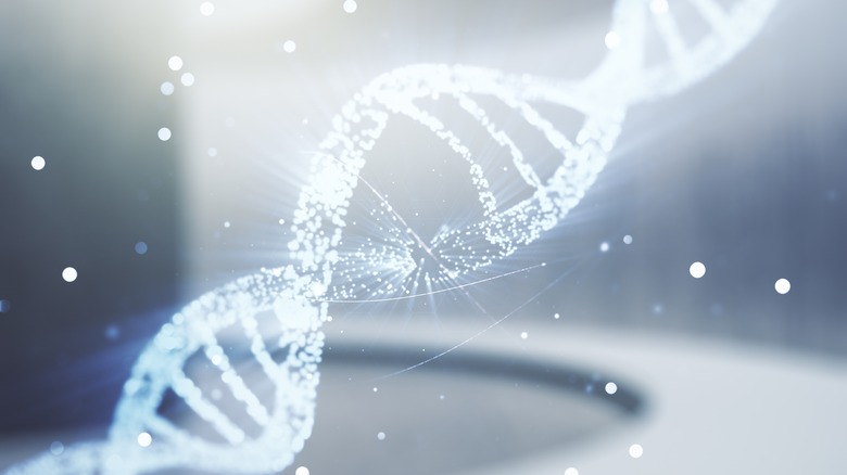 DNA