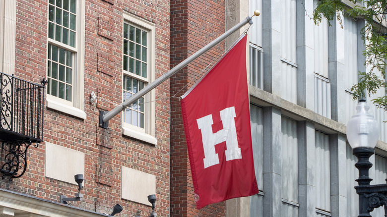 Harvard flag hanging on campus