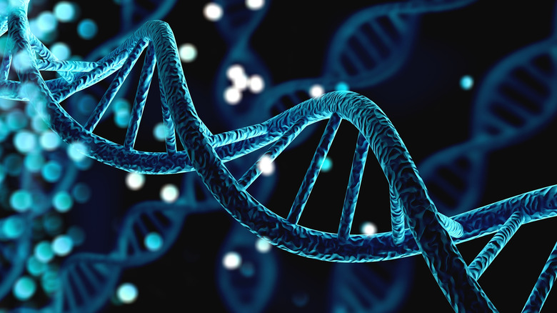 DNA double helix visualization