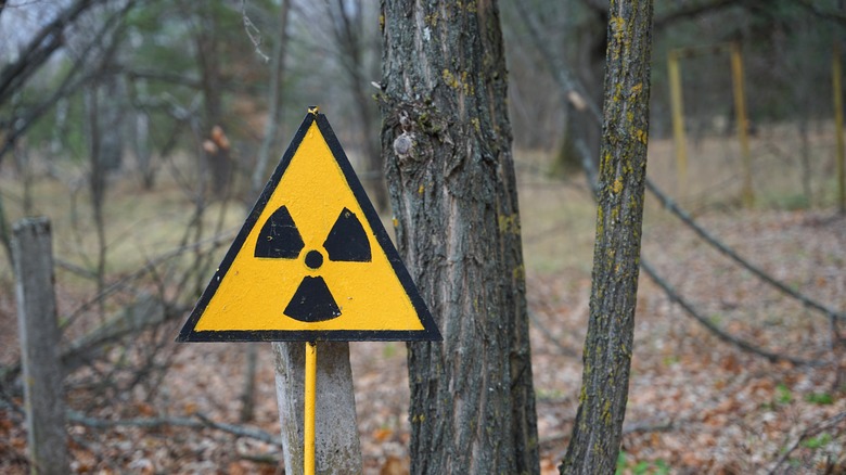 chernobyl sign