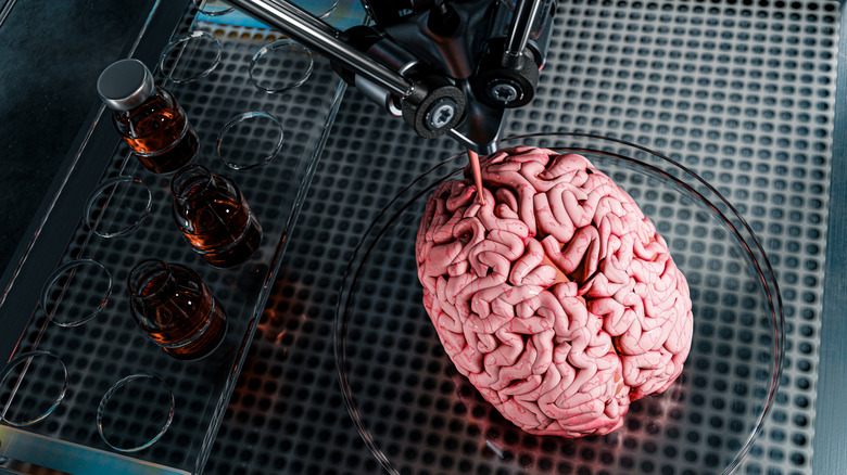 human brain being 3D printed