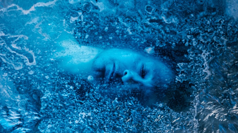 man frozen in cryonic chamber