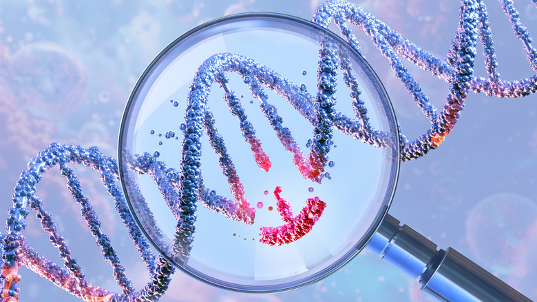 DNA double helix in magnifying glass