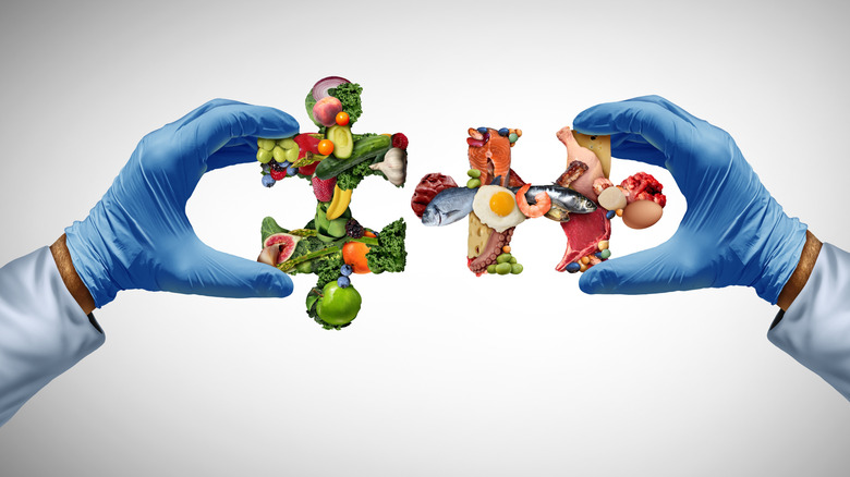 gloved hands holding nutritional puzzle pieces